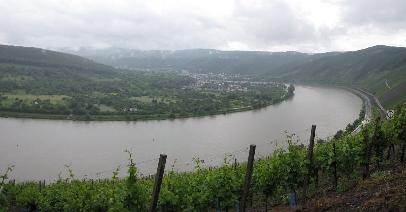 bopparder hamm.jpg - Zoals gezegd we wandelen richting Boppard tussen de wijnvelden door van de Bopparder hamm. Toen we in het dal begonnen met onze wandeling scheen de zon nog volop. Nu we boven zijn trekt de lucht dicht en komen de regenwolken snel dichterbij.